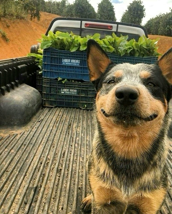   , , , , 