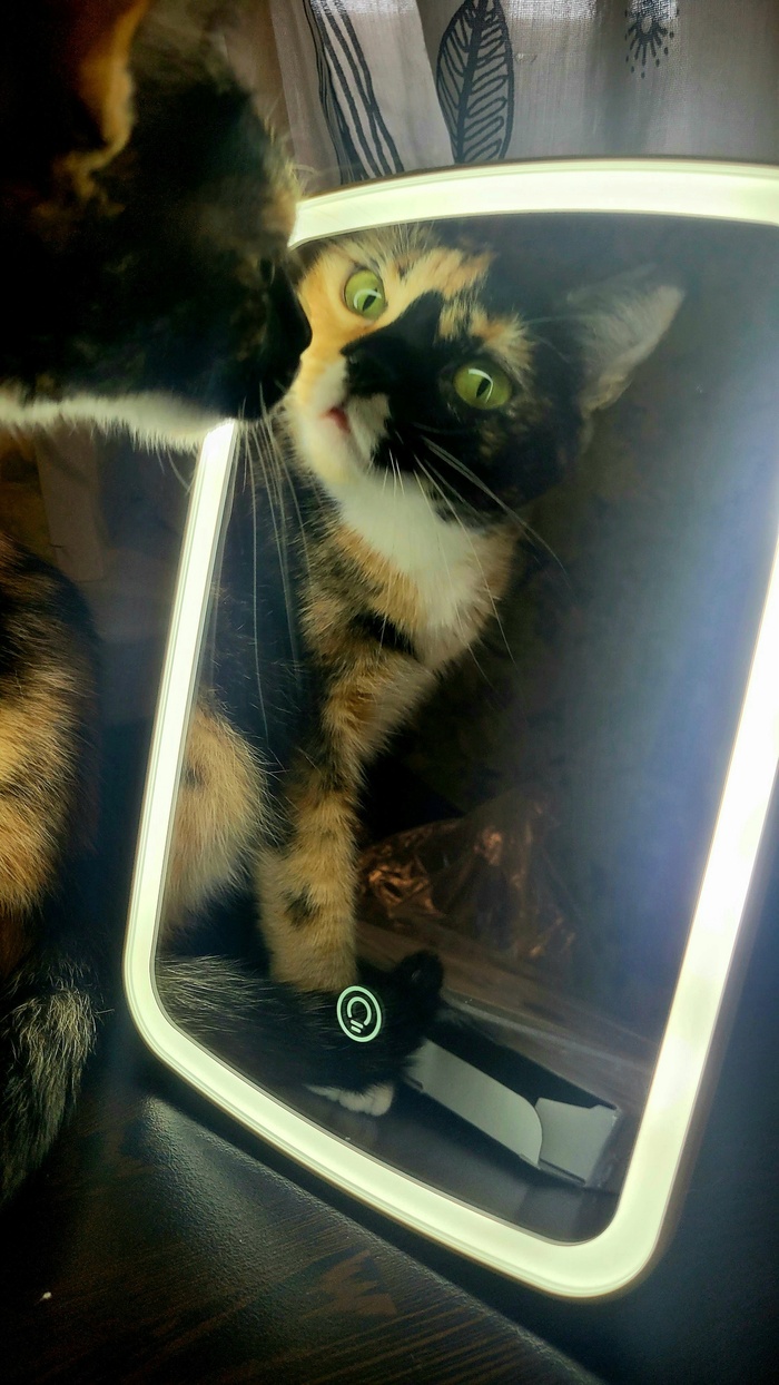  , , ,     ,  ,  , , 