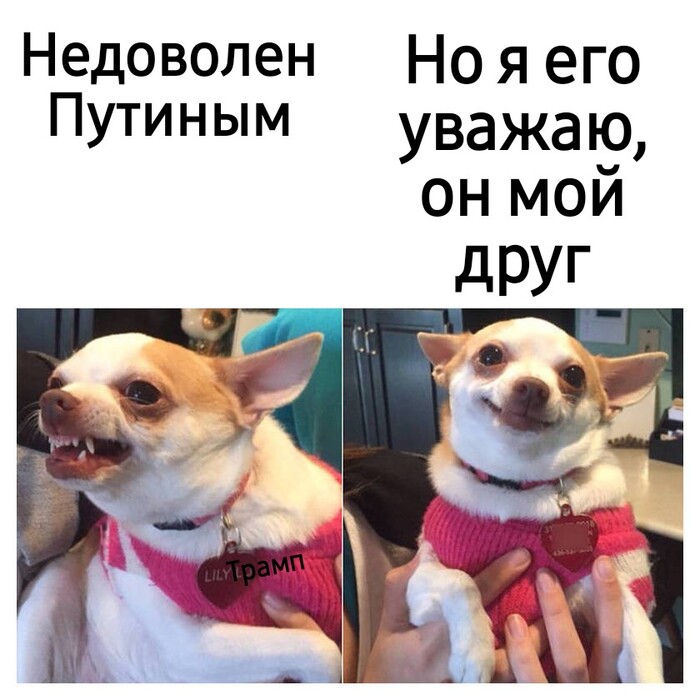   , ,  , 