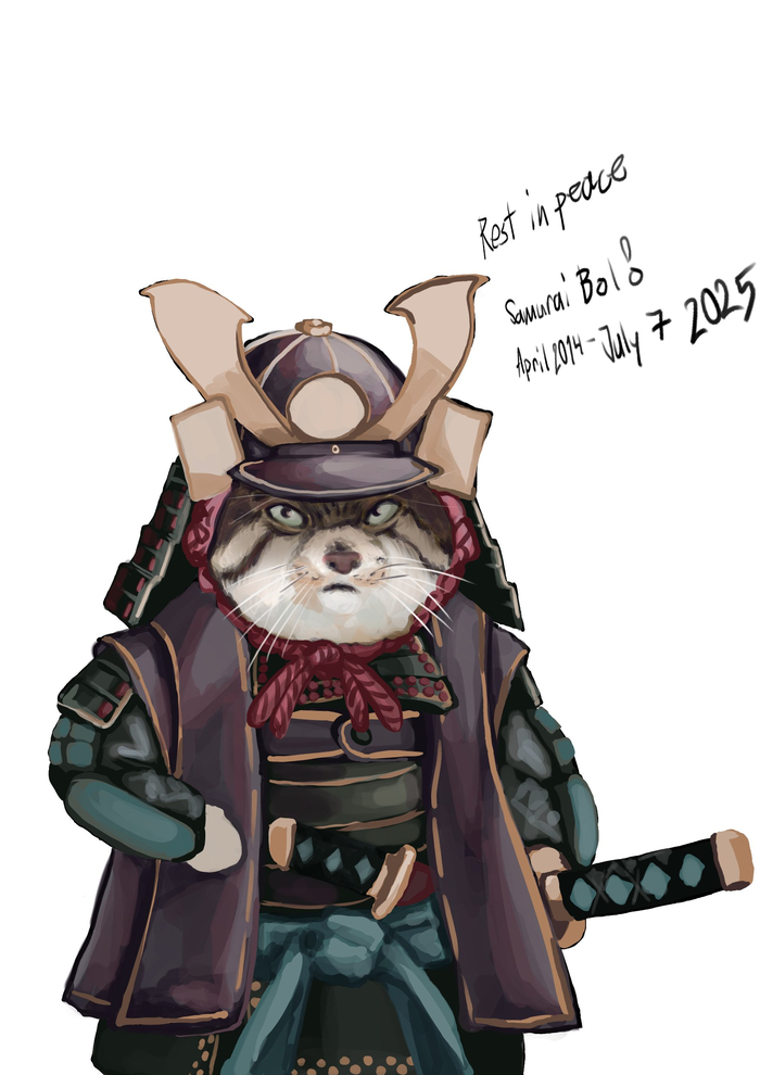Покойся с миром, Бол. Ты был самым крутым котом-самураем на свете!