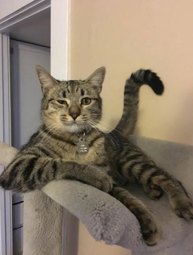  ? , , , , 