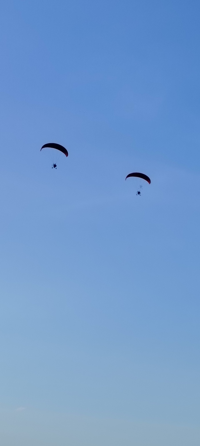 ������ ����