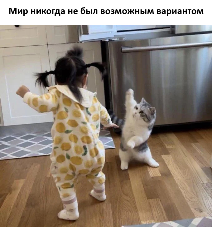   ,   , , , , Telegram ()