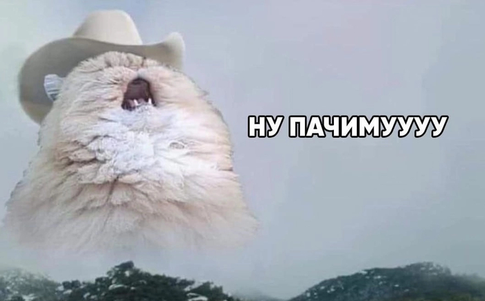    ,      