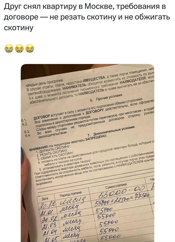 Но почему нельзя тандыр?!