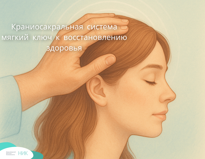Краниосакральная система: мягкий ключ к восстановлению здоровья