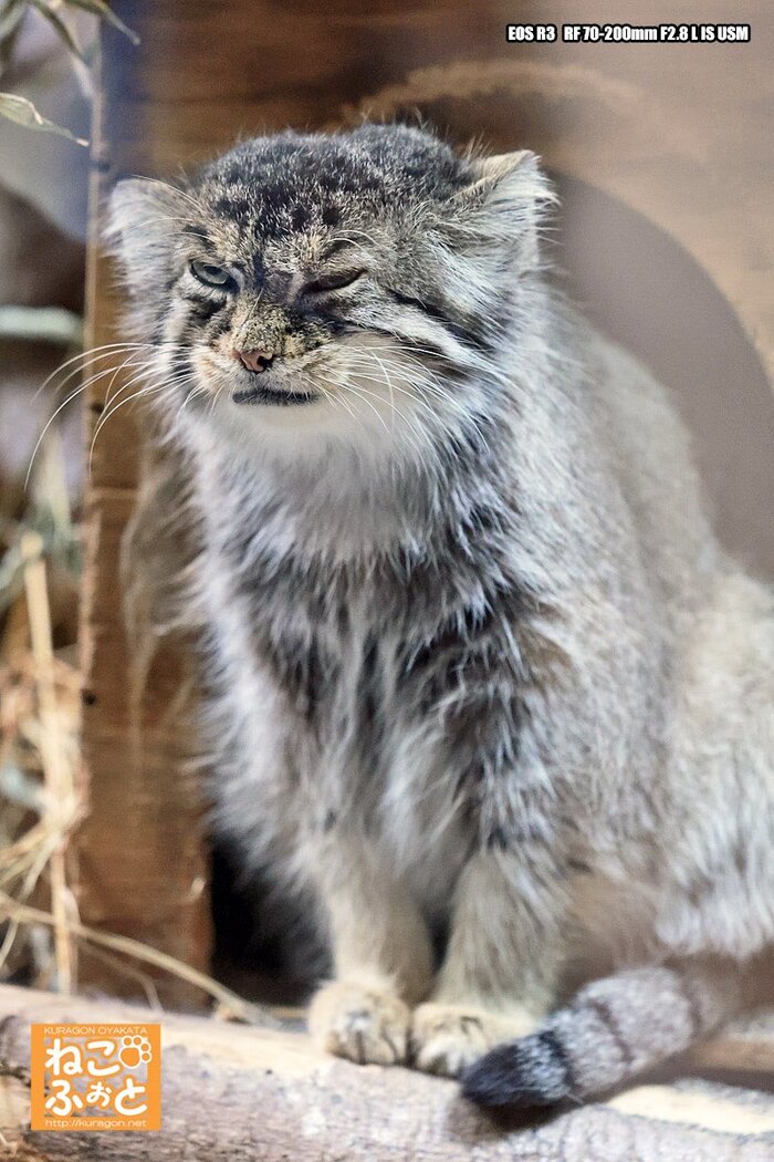 Раннее утро... Как я рад тебя видеть...