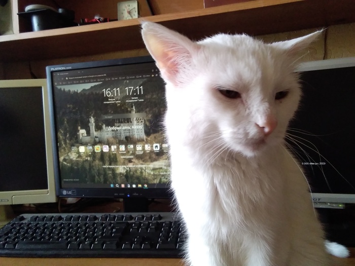 я тоже иной раз