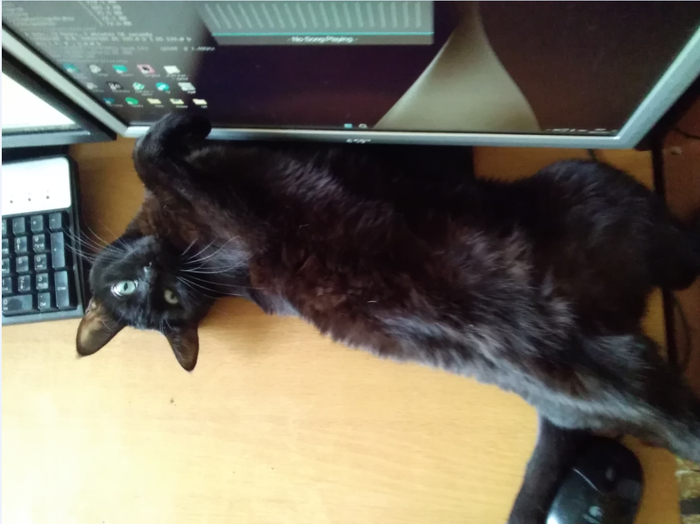 и чё ты мне сделаешь?