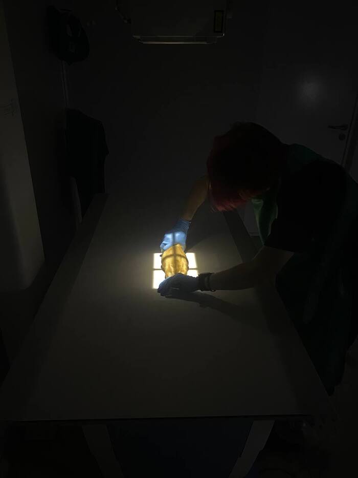 50 оттенков серого Ветеринария, Домашние животные, Экзотические животные, Полезное, Длиннопост