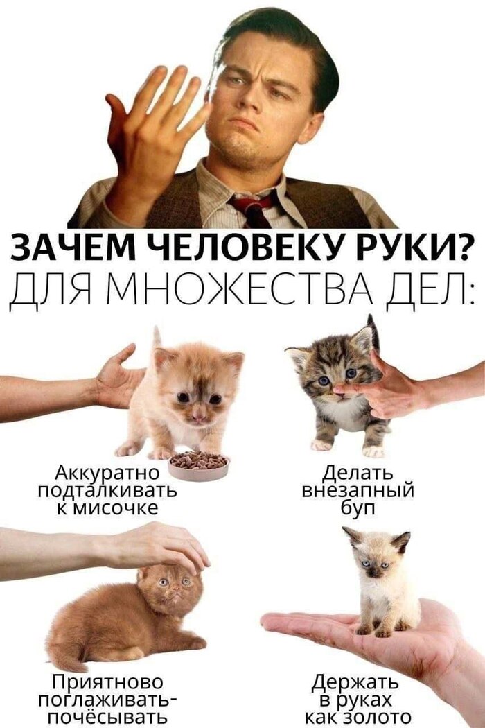      ,   , , 