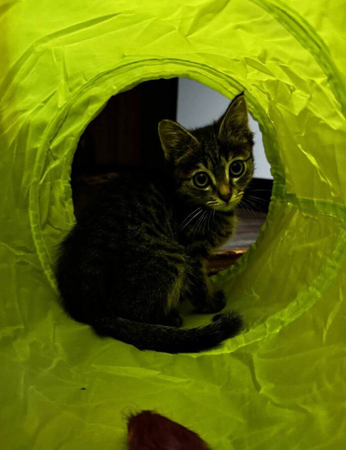    ,  , , , ,   