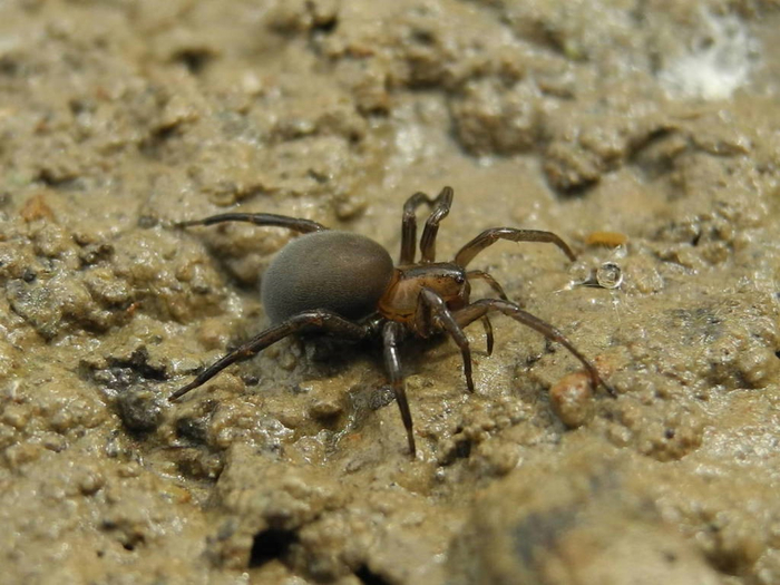 Чего вы кричите? Я просто позагорать вышел!