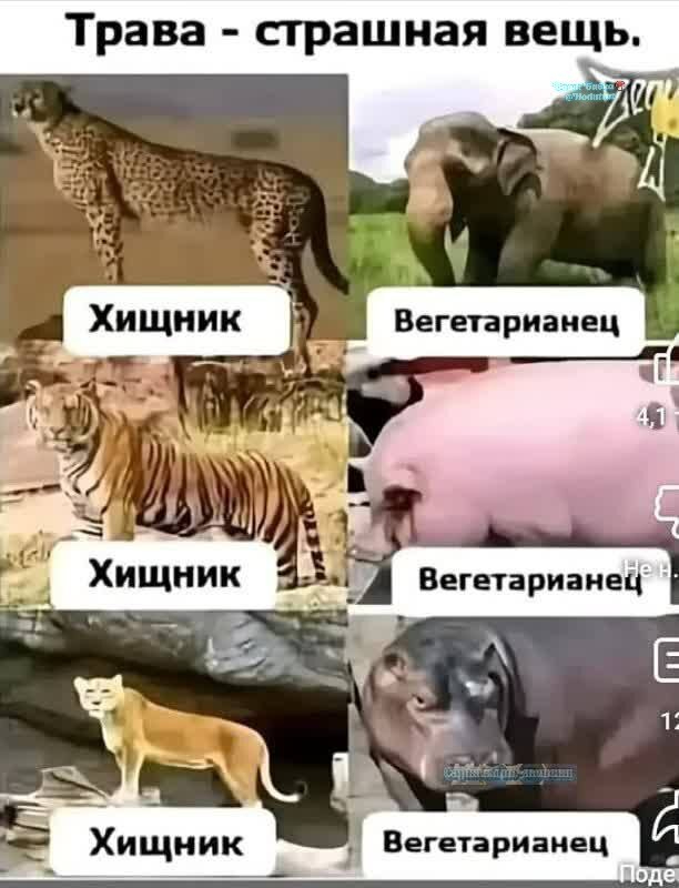     , , ,   ,  , 