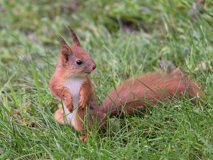    ,   ,     .     80%  ,   ,     .