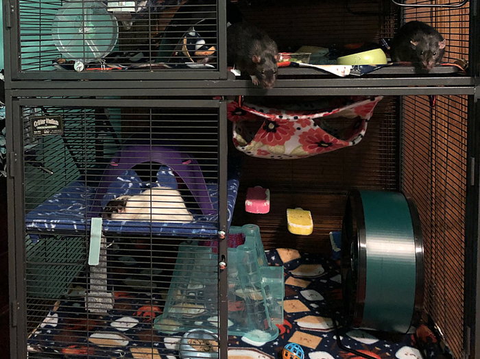     ,        ,    .     .    ,   .