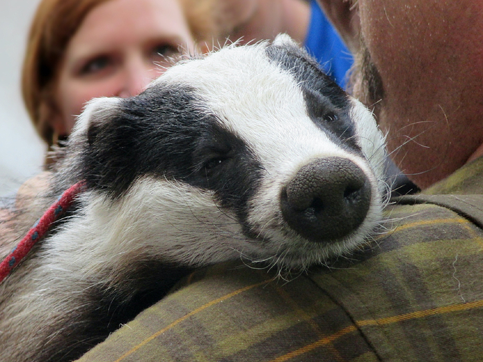        ,      .      ,   .       !