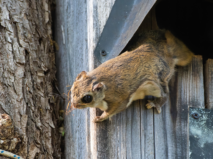 ,     .     ,   ,         .