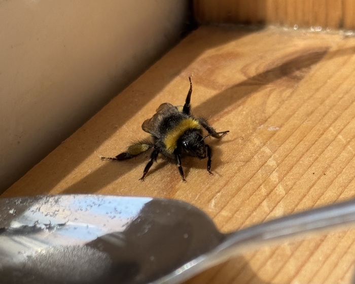 �� ����������!