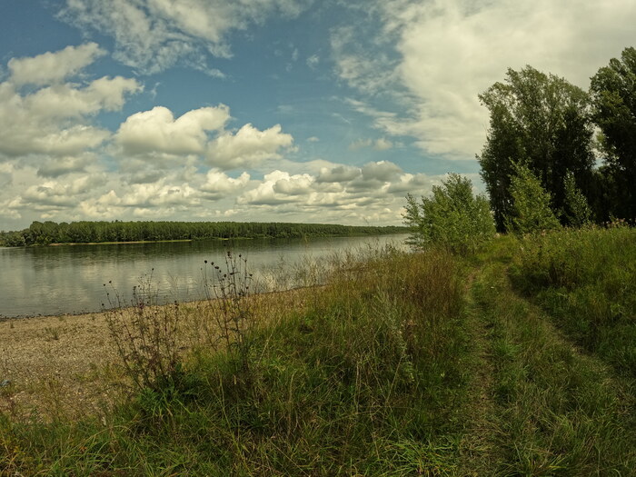    , GoPRO,  , 