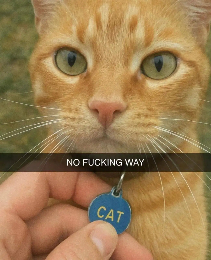     ! , , 