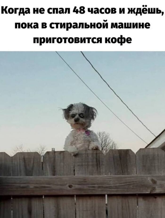   , , , ,  