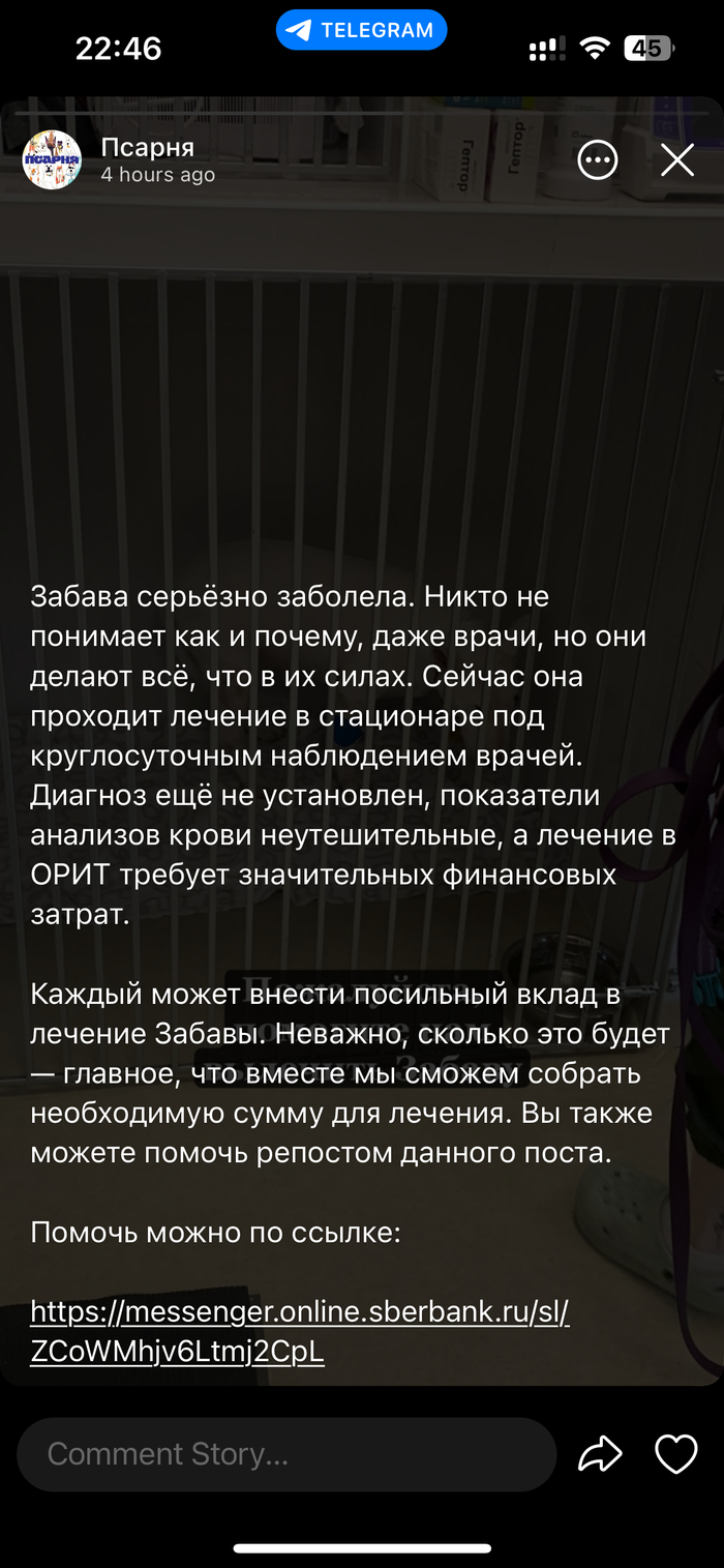 ���� � ������ �� ���� ������