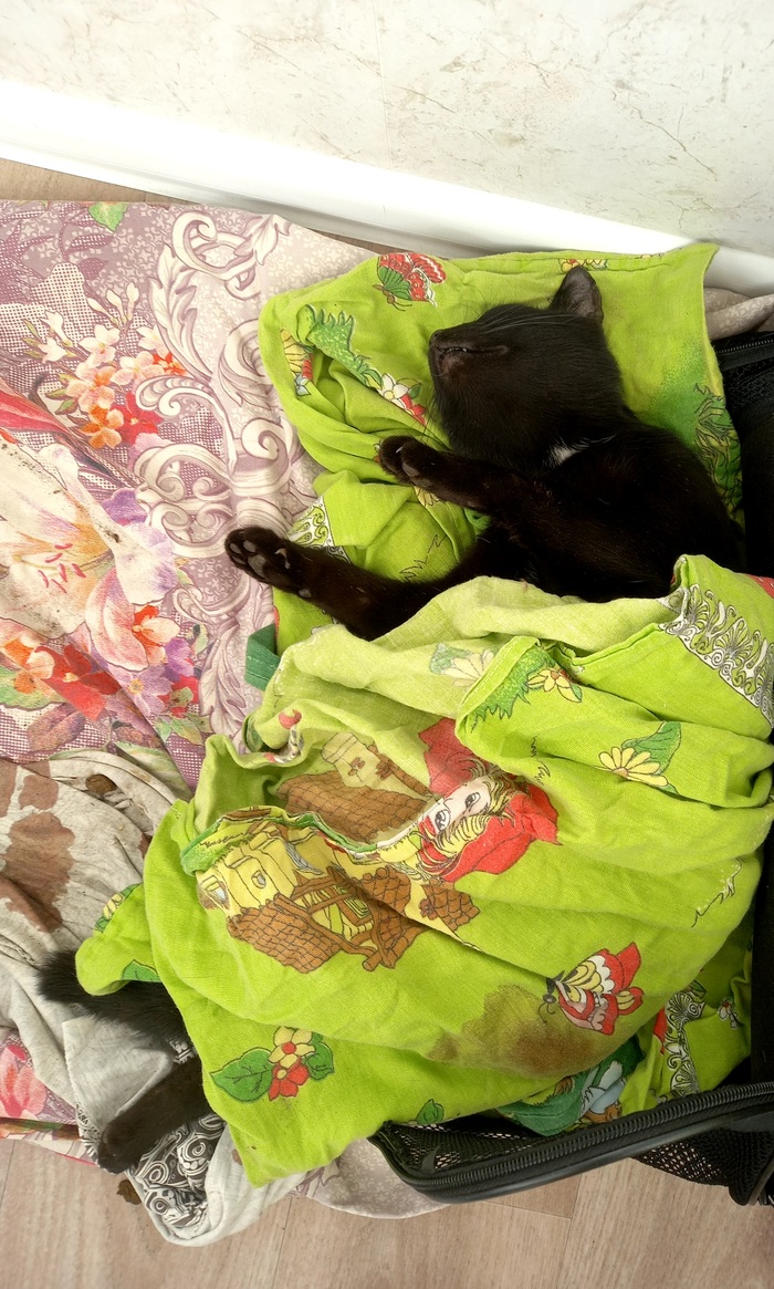 ��������� ������ �������� �����. ���� �� ������, �������