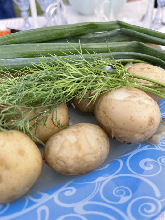 Свежая картошка