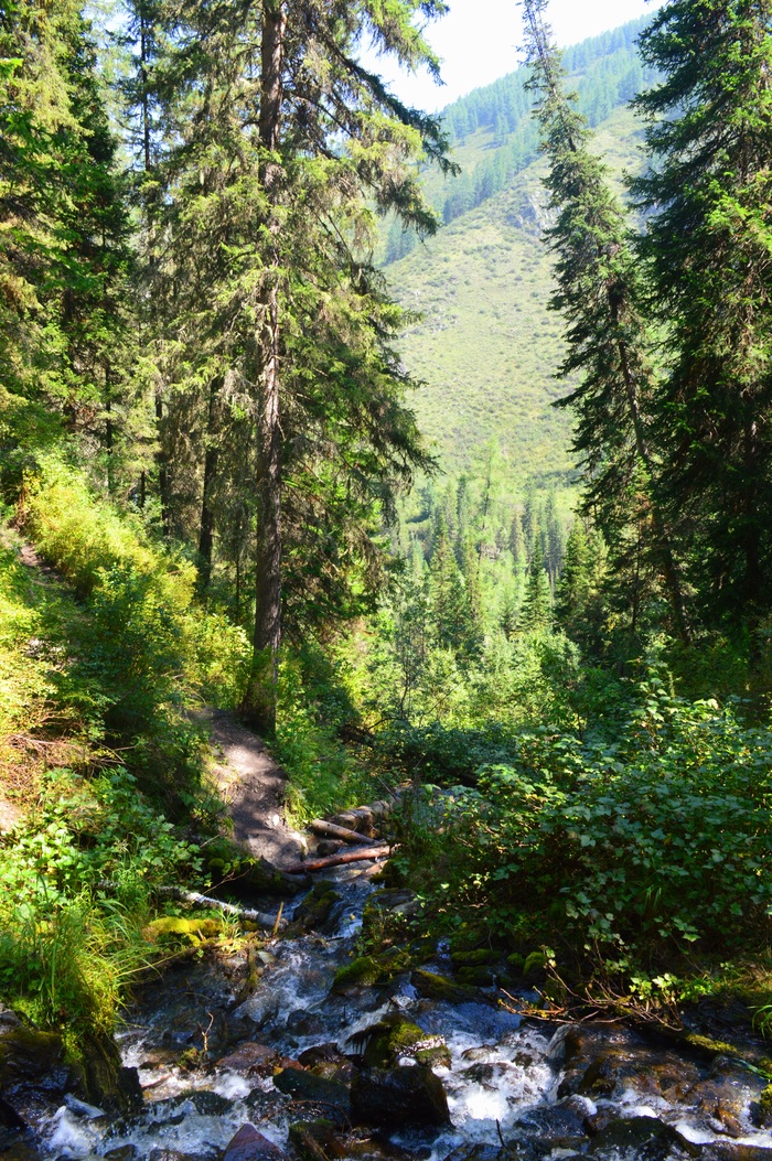 Аккемская тропа