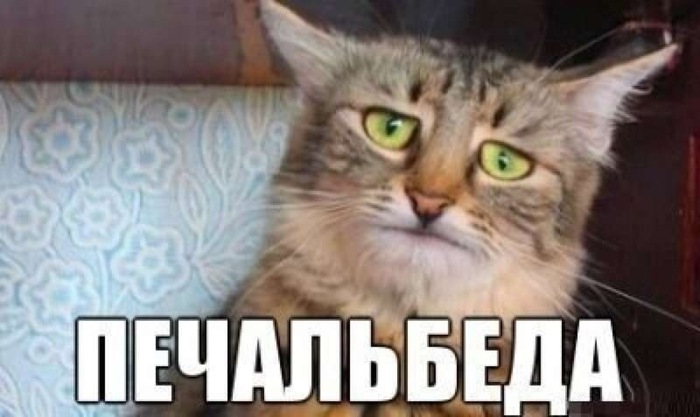  " " 7 , ,   , , , ,   , , , , 