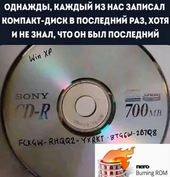 3jmsj7ne.webp