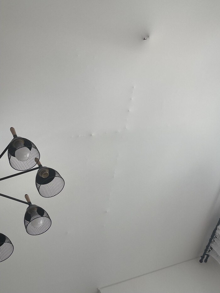 Из потолков лезет Чужой. Я в первый раз с недосыпа (см пост про шум строительный ночами) подумала, что умом тронулась от моратория строительного, и щупальца уже мерещатся.