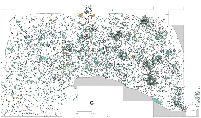 План участка, на котором отмечены все находки (кости — светло-голубые, камни — тёмно-синие, манупорты оранжевые)