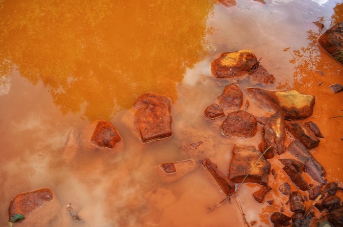 Фото: Марина Ахмадуллина