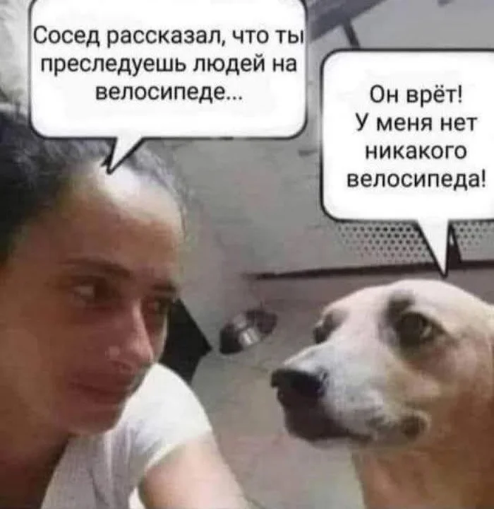 iipsj5dd.webp