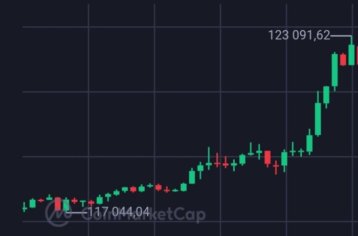NEW ATH BTC , , 