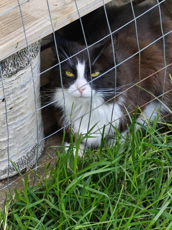 ��� ��������