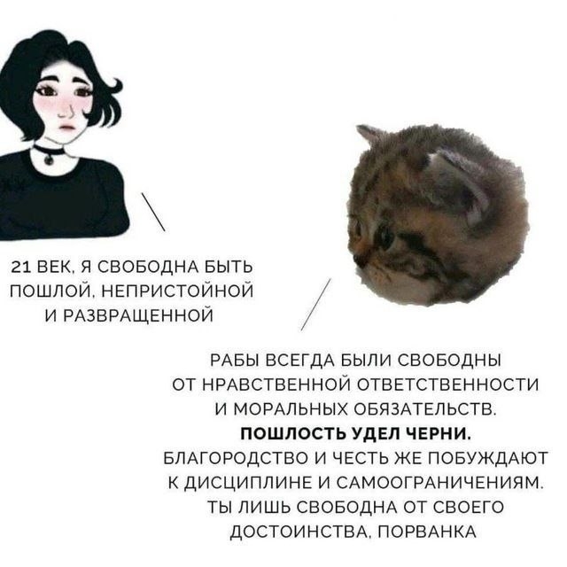       , ,   , ,  ,  , , , , , 