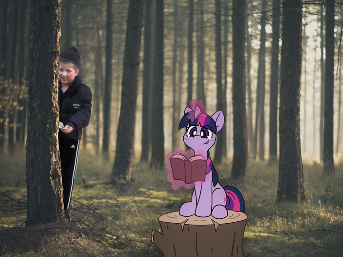 Твайлайт и пенёк