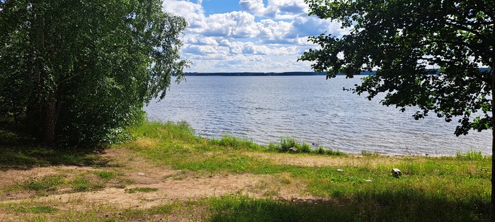 ����� ���, ��� ���� 