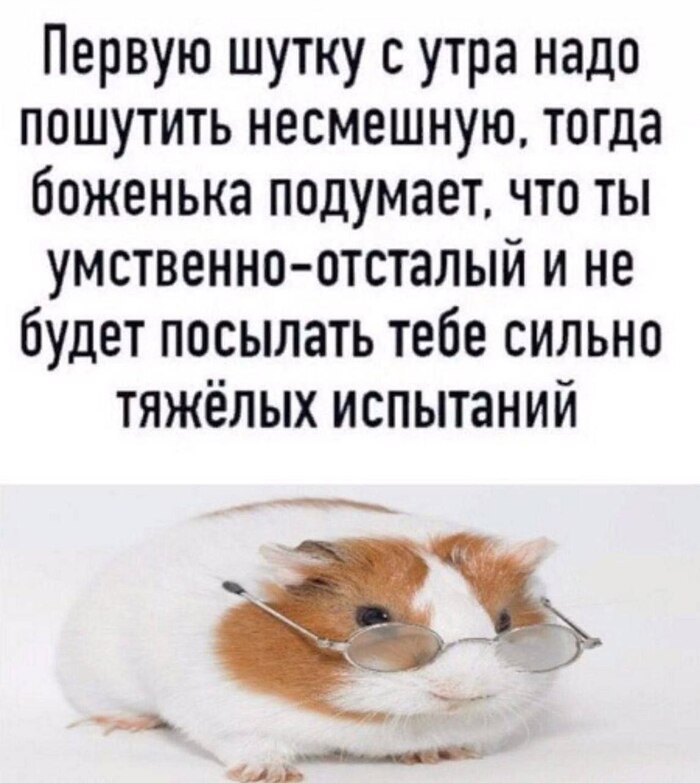  ,  , , , , ,   , , 