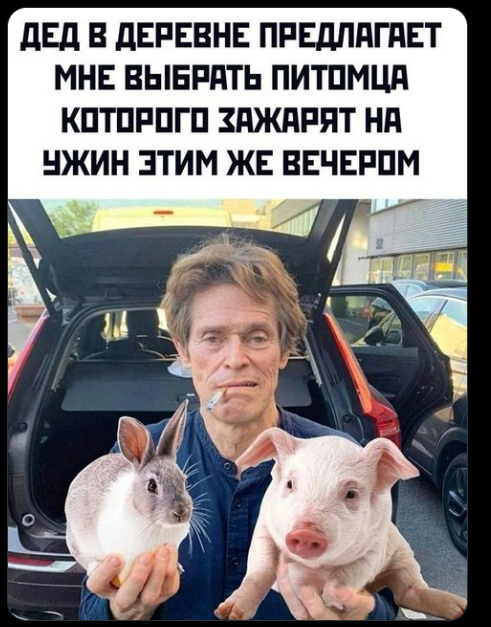      , ,   , , 