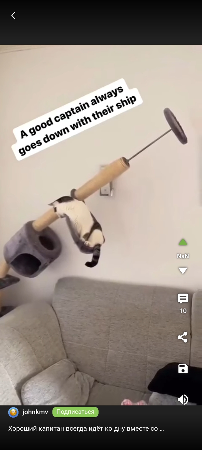      , ,   , 