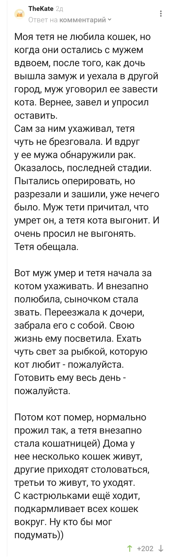 ������ ������� ������� �����