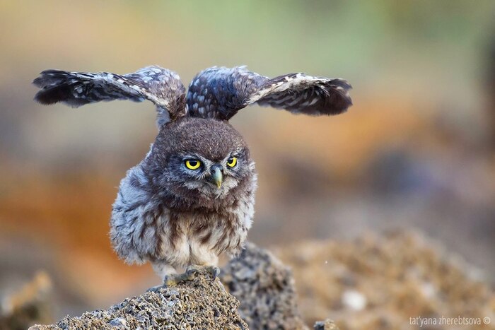 DeLorean DMC-12 &#x1F923;&#x1F923;&#x1F923;