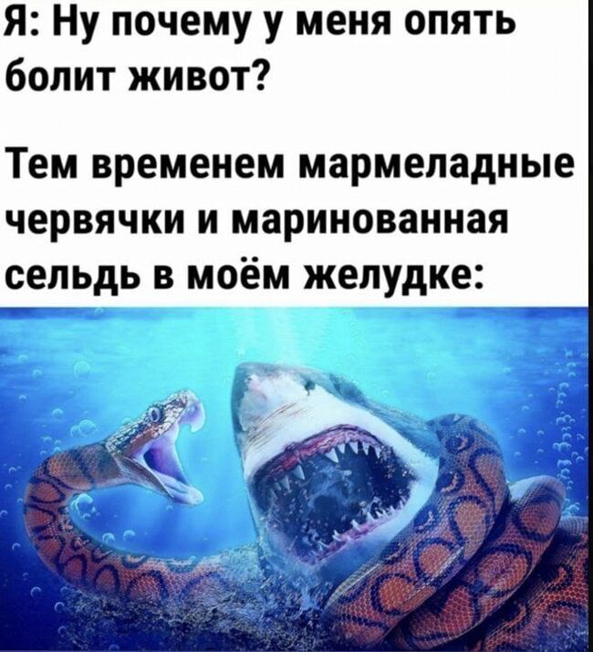   , , 