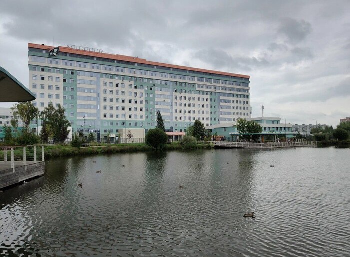 ��������: ������ �����