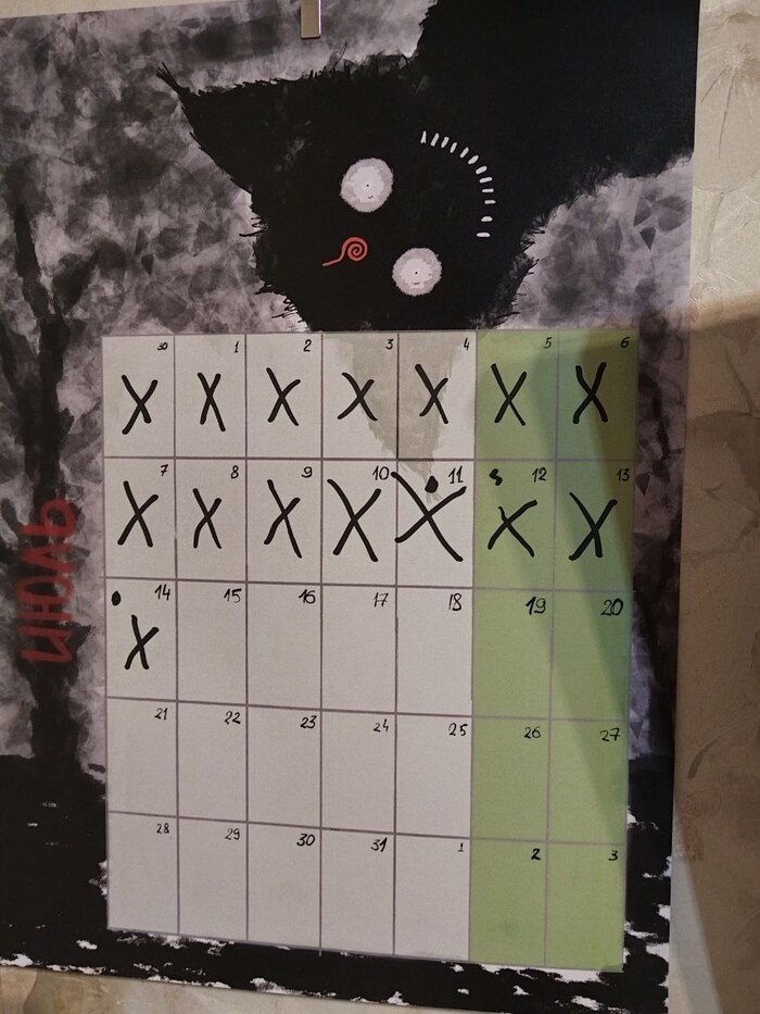    2025 . 220 /&#xB2;, 3.