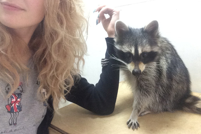 Мы много-много времени провели вместе, когда она начала мне доверять, разрешила гладить и даже сама приходила за обнимашками.